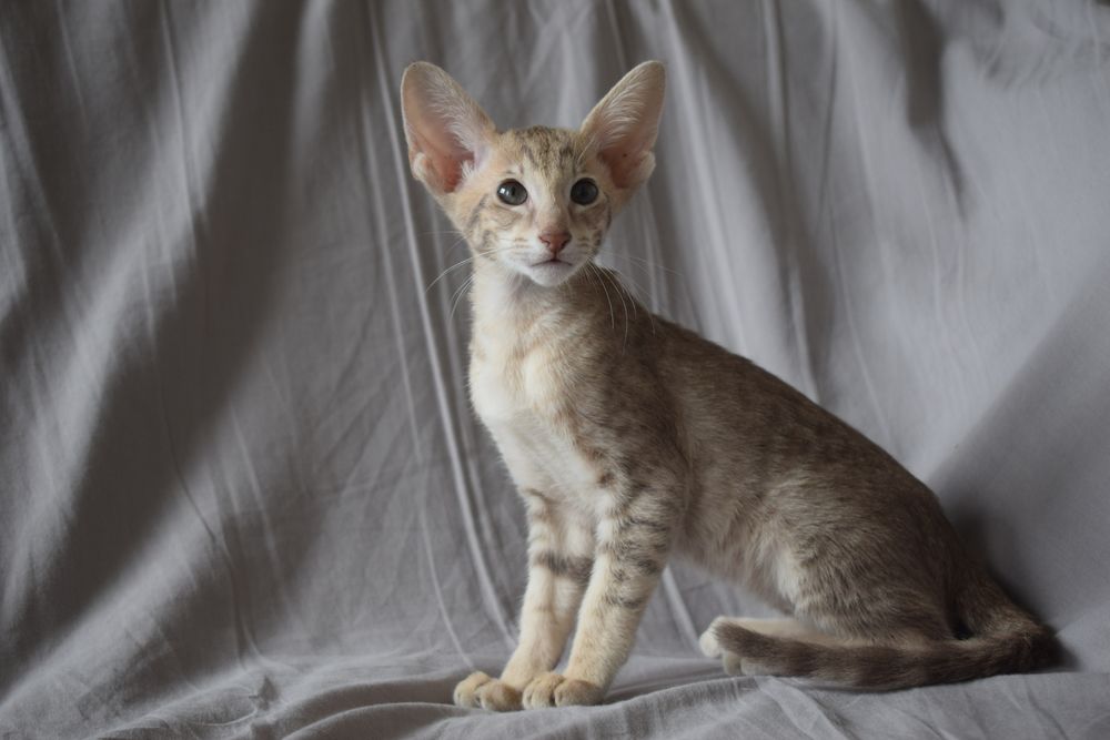 DSC_0066_resultat_(1)