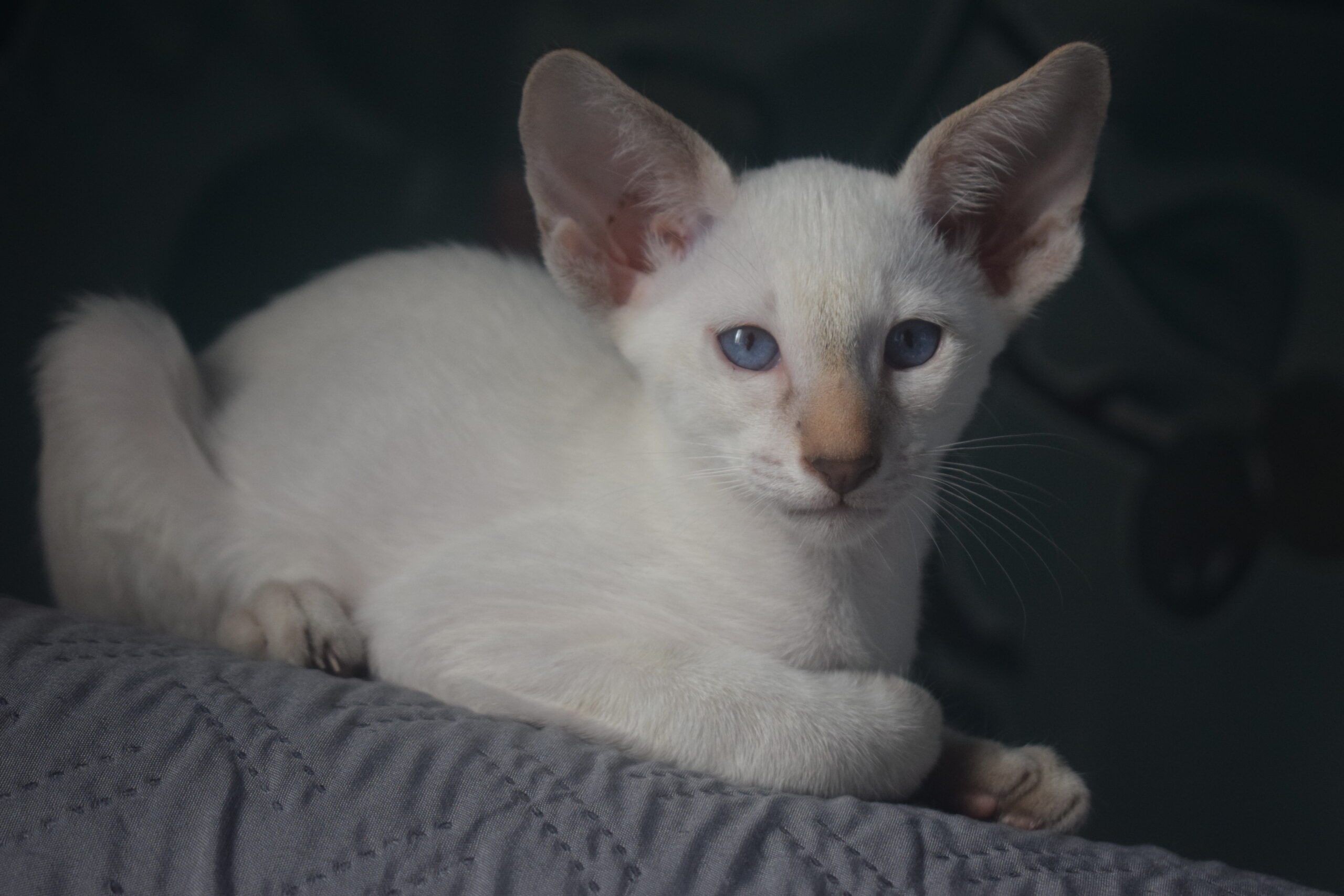 DSC_0118