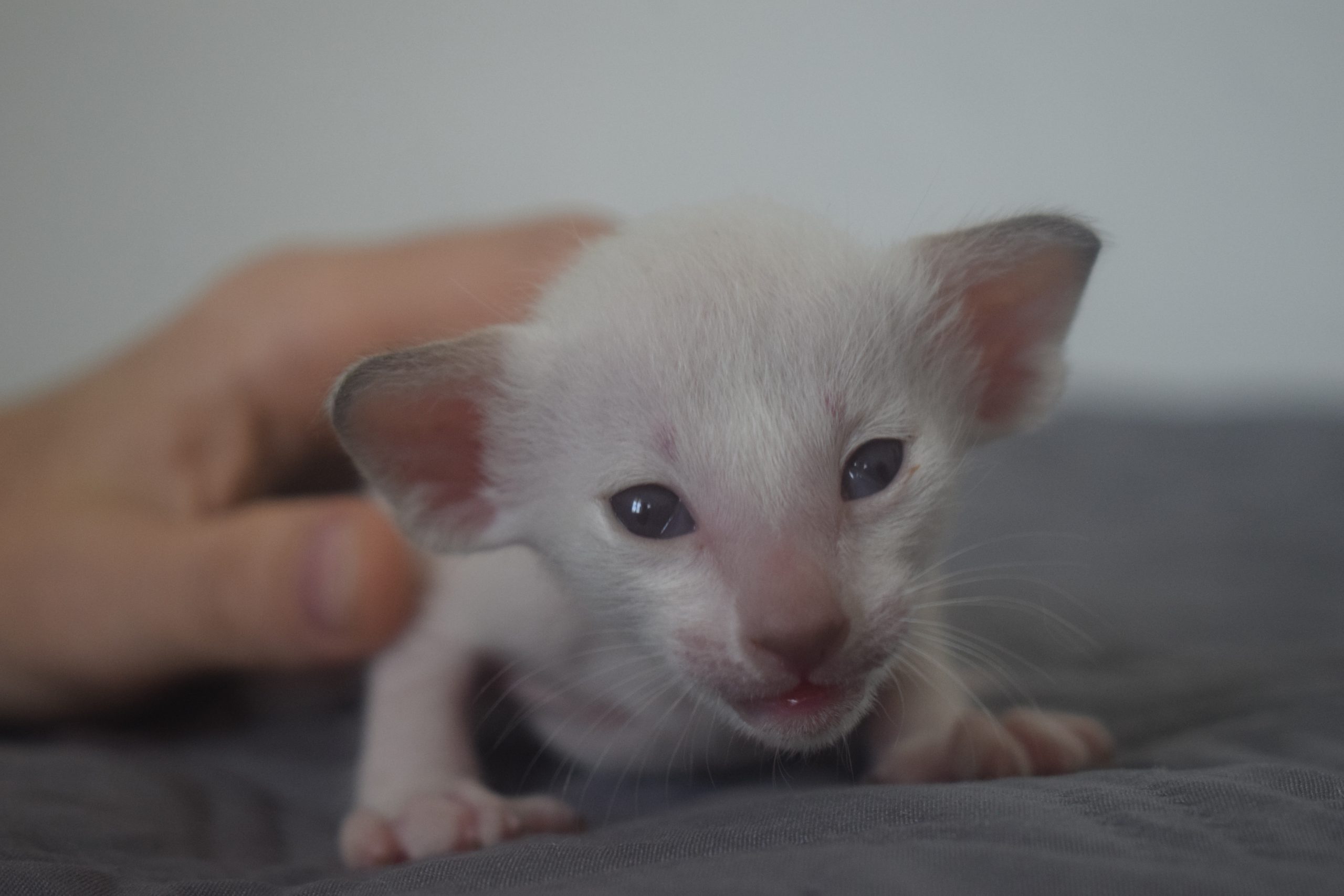 DSC_0153