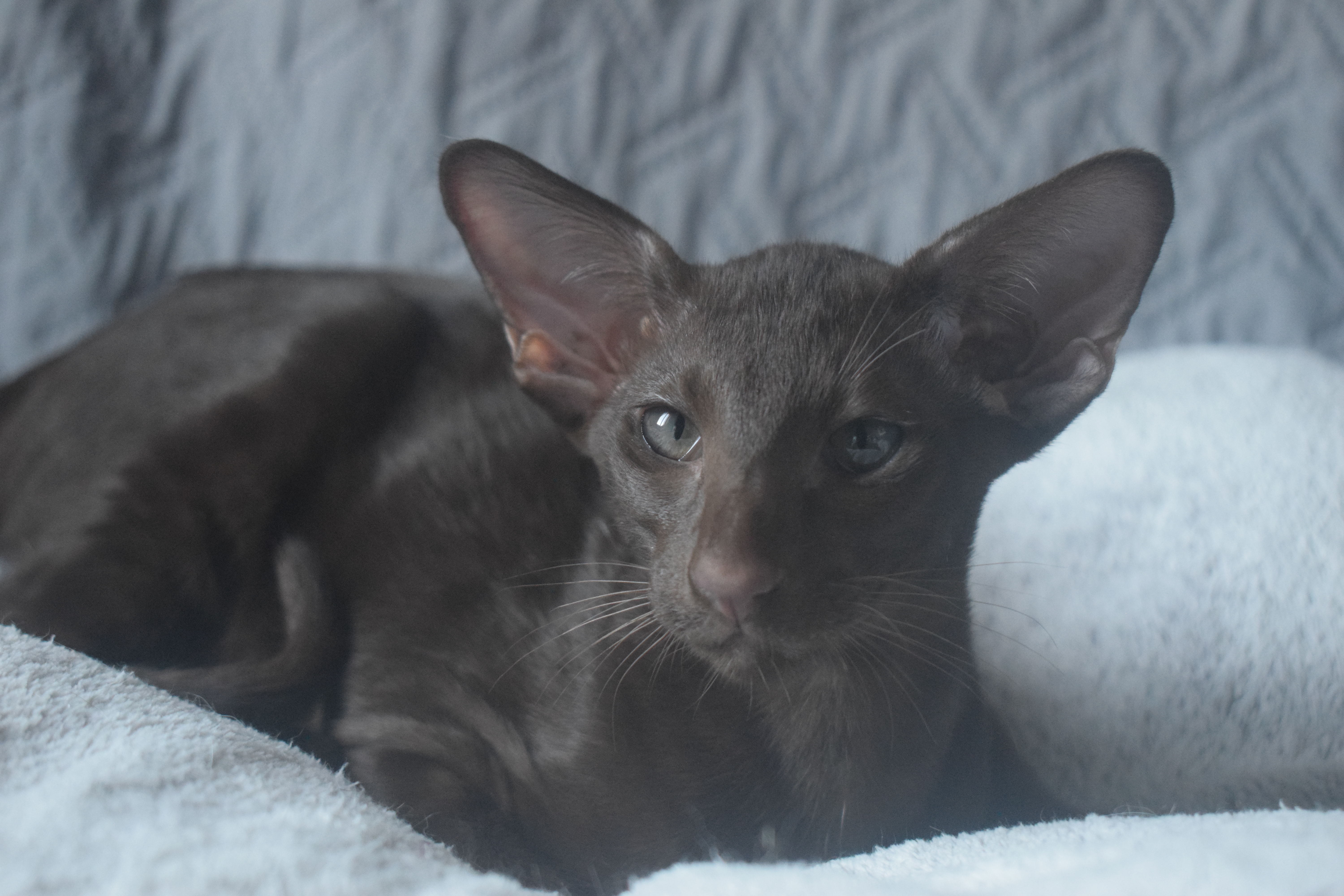 DSC_0159sid