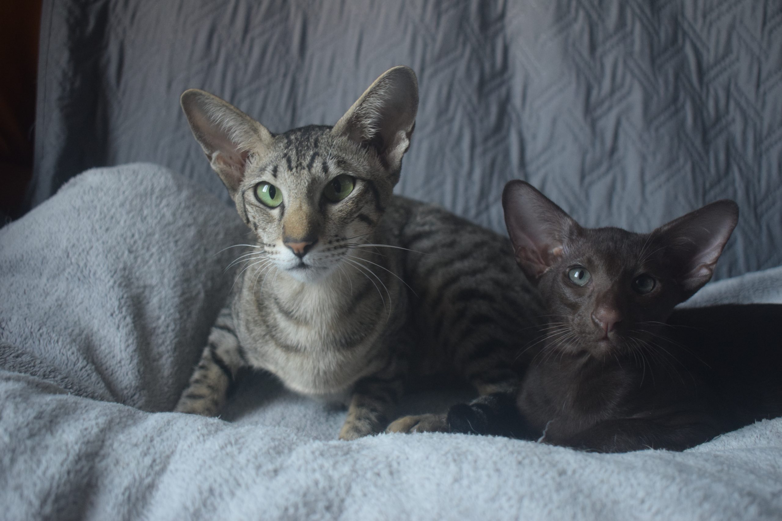 DSC_0166sid