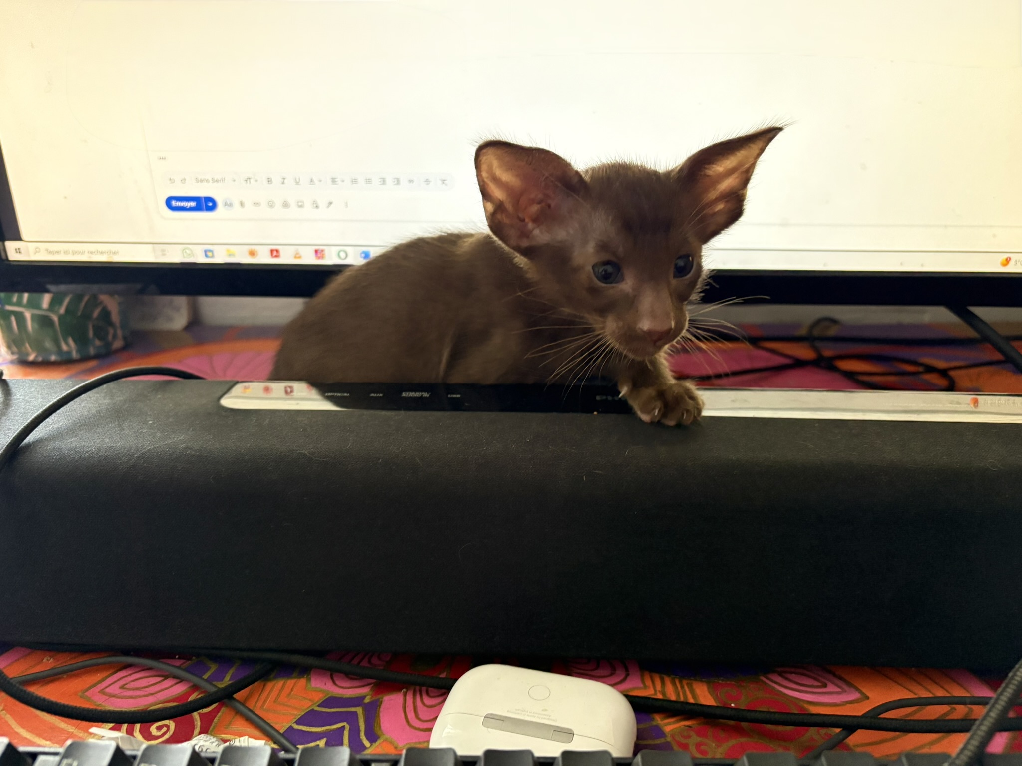 bisou
