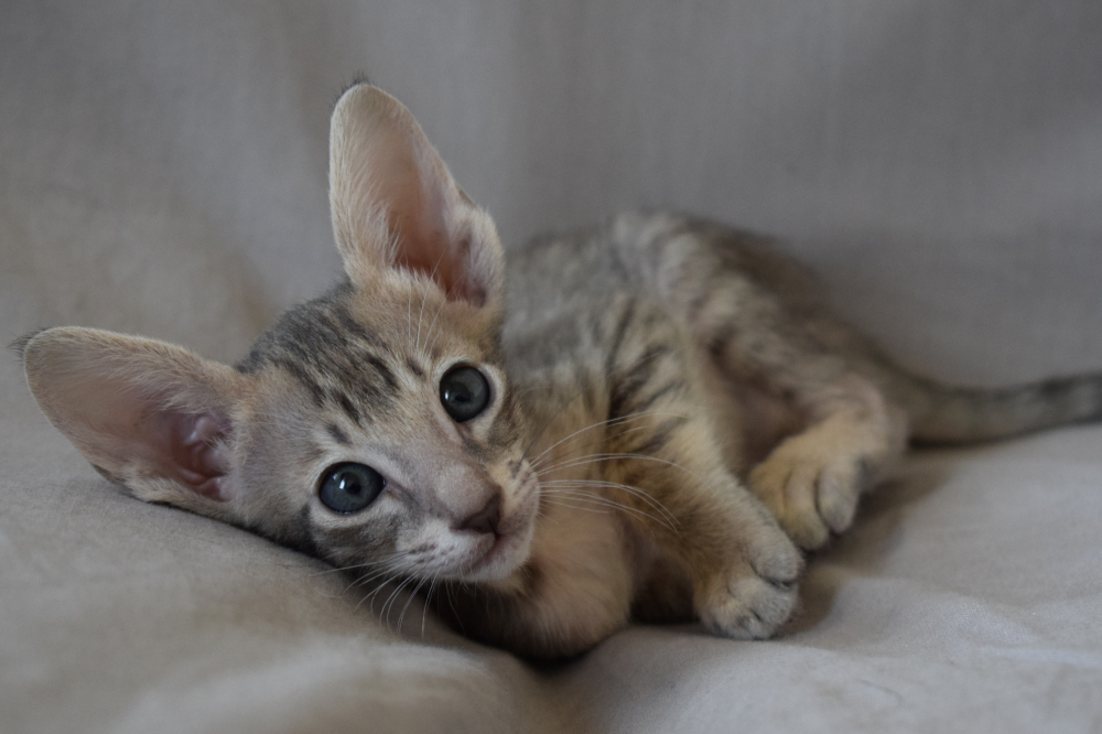 thumb_DSC_0061